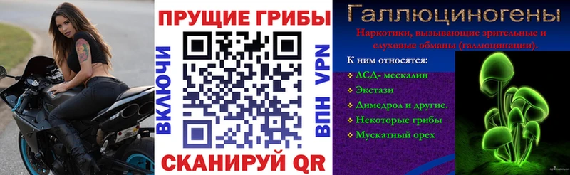 Купить закладки  Мурино  Псилоцибиновые грибы Psilocybine cubensis 
